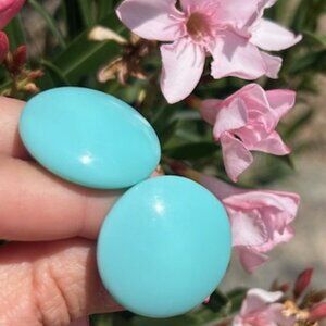 RICHELIEU Robin Blue Lucite Button Dome EARRINGS